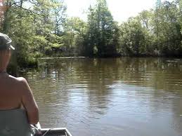 Pike County Mississippi Land