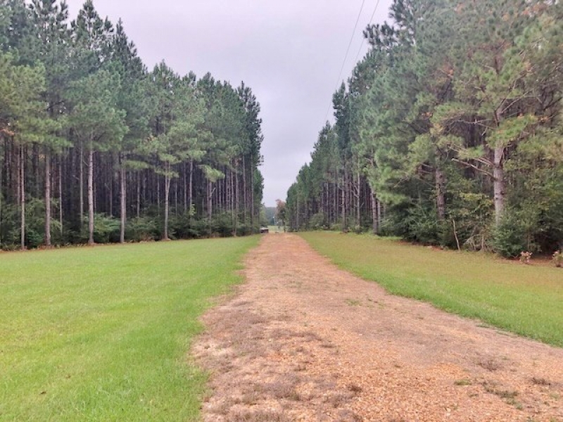 hunting-land-for-sale-in-mississippi
